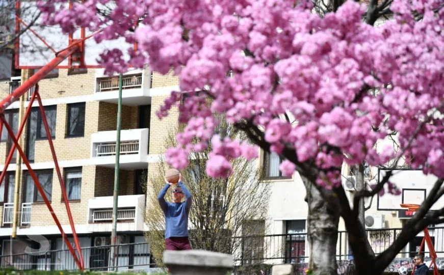 Buđenje ranog proljeća